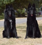 Perfect Black Unai z Kovárny