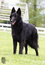 Perfect Black Unai z Kovárny