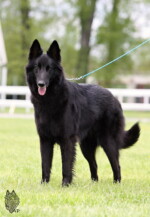 Perfect Black Unai z Kovárny