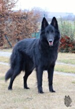 Perfect Black Unai z Kovárny